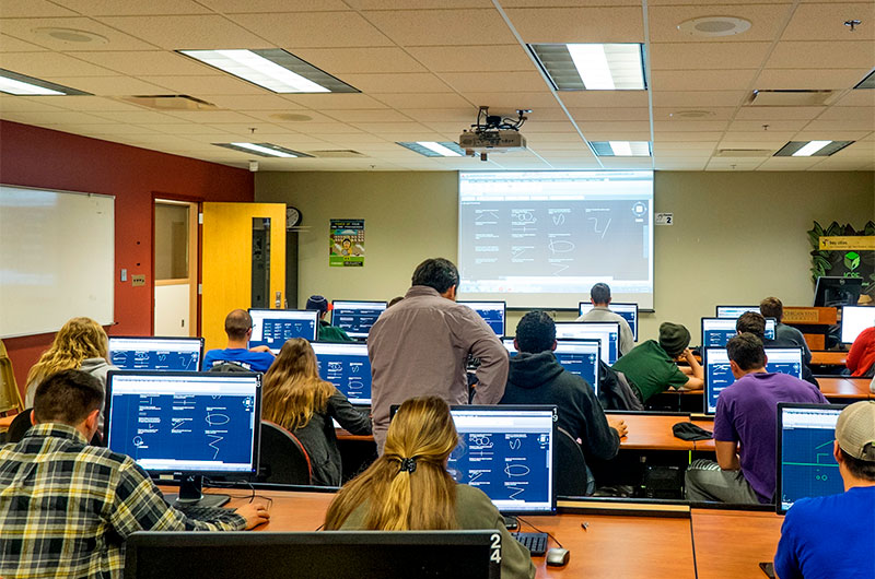Students studying